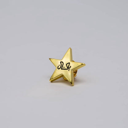 Star Emblem Pin - Gold